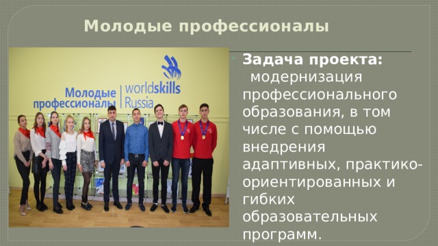 Молодые профессионалы Задача проекта:  модернизация профессионального образования, в том числе с помощью внедрения адаптивных, практико-ориентированных и гибких образовательных программ. 