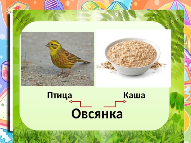 Каша овсянка и птица овсянка