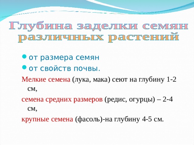 от размера семян от свойств почвы. Мелкие семена (лука, мака) сеют на глубину 1-2 см, семена средних размеров (редис, огурцы) – 2-4 см, крупные семена (фасоль)-на глубину 4-5 см.  