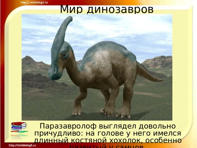 Мир динозавров Паразавролоф выглядел довольно причудливо: на голове у него имелся длинный костяной хохолок, особенно развитый у самцов. 