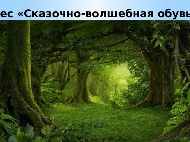 Лес «Сказочно-волшебная обувь» 