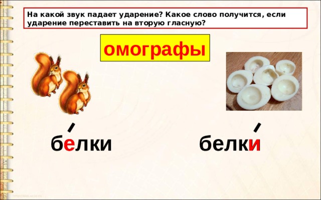 На какой звук падает ударение? Какое слово получится, если ударение переставить на вторую гласную? омографы белки белки е и 