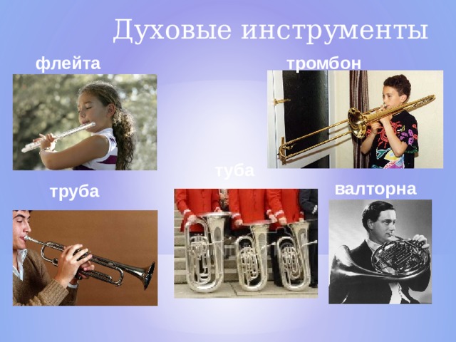  Духовые инструменты флейта тромбон туба валторна труба  