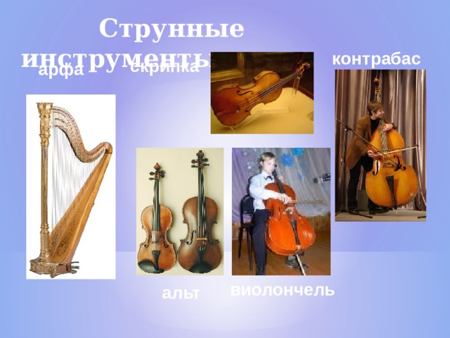  Струнные инструменты контрабас скрипка арфа виолончель альт  