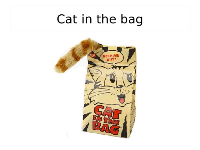 Cat in the bag 