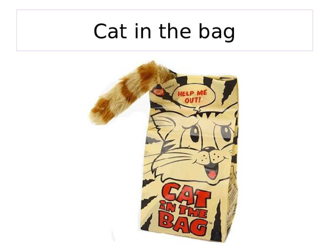 Cat in the bag 