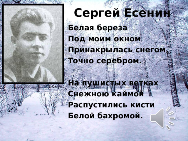 Есенин белая береза под моим