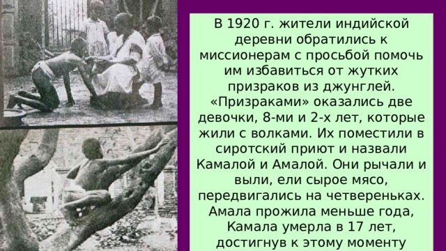 В 1920 г. жители индийской деревни обратились к миссионерам с просьбой помочь им избавиться от жутких призраков из джунглей. «Призраками» оказались две девочки, 8-ми и 2-х лет, которые жили с волками. Их поместили в сиротский приют и назвали Камалой и Амалой. Они рычали и выли, ели сырое мясо, передвигались на четвереньках. Амала прожила меньше года, Камала умерла в 17 лет, достигнув к этому моменту уровня развития 4-хлетнего ребенка.  