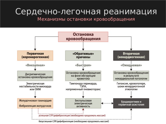 Сердечно-легочная реанимация Механизмы остановки кровообращения 