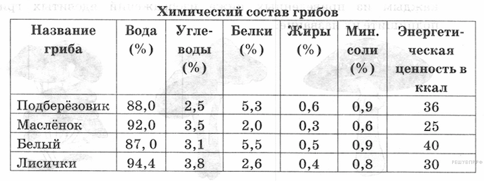 Состав гриба белок