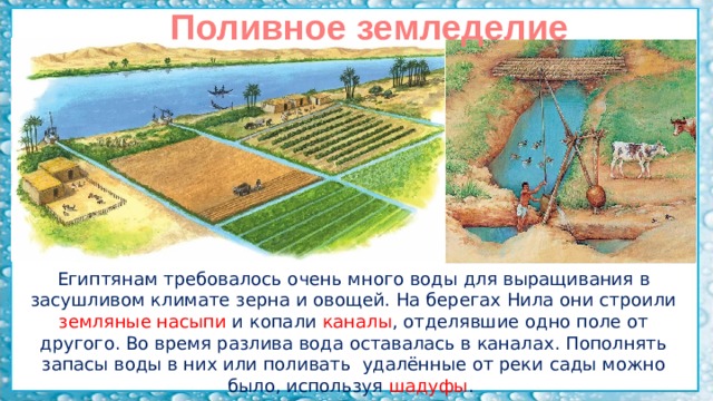 Поливное земледелие Египтянам требовалось очень много воды для выращивания в засушливом климате зерна и овощей. На берегах Нила они строили земляные насыпи и копали каналы , отделявшие одно поле от другого. Во время разлива вода оставалась в каналах. Пополнять запасы воды в них или поливать удалённые от реки сады можно было, используя шадуфы . 