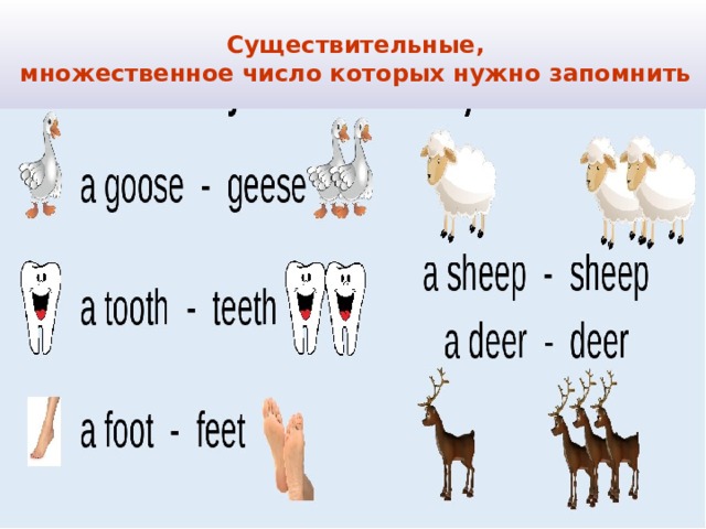 Sheep множественное число. Множ число Sheep. Deer множественное число. Goose мн число.