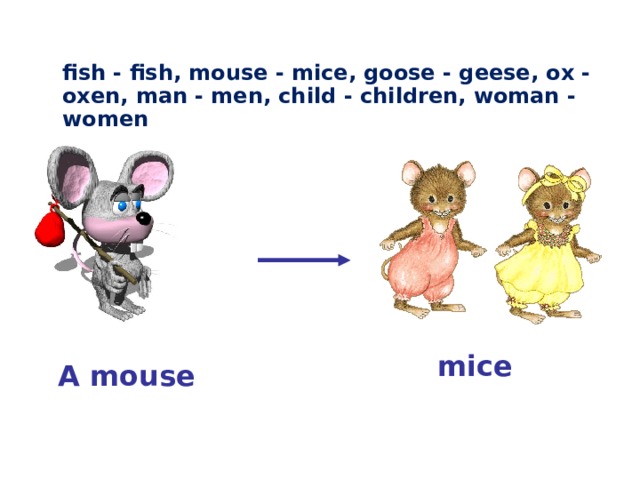 3 mouse множественное число. Mouse Mice множественное число. Mice число.