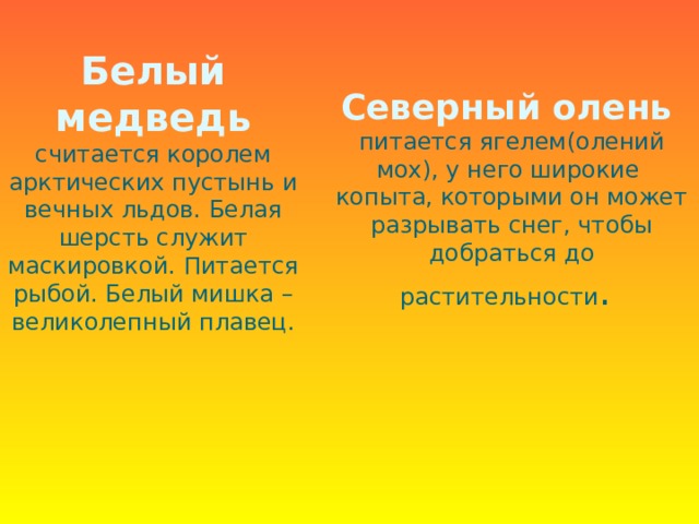 Белый медведь считается королем арктических пустынь и вечных льдов. Белая шерсть служит маскировкой. Питается рыбой. Белый мишка – великолепный плавец. Северный олень  питается ягелем(олений мох), у него широкие копыта, которыми он может разрывать снег, чтобы добраться до растительности . 