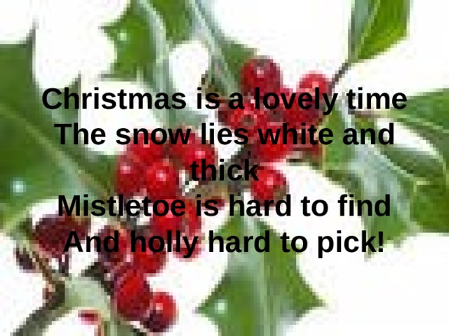 Christmas is a lovely time  The snow lies white and thick  Mistletoe is hard to find  And holly hard to pick! 
