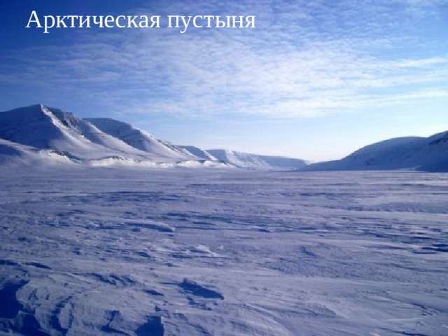 Арктическая пустыня 