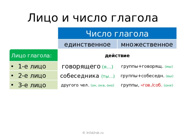 Лицо и число глагола Число глагола единственное множественное Лицо глагола: действие 1-е лицо говорящего  (я…) группы+говорящ. (мы) 2-е лицо собеседника  (ты…) группы+собеседн. (вы) 3-е лицо другого чел. (он, она, оно) группы, - гов./соб.  (они) © InfoUrok.ru 