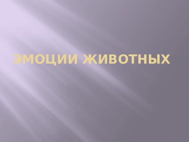 Эмоции животных 