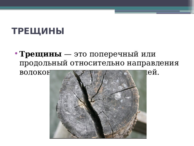 ТРЕЩИНЫ   Трещины  — это поперечный или продольный относительно направления волокон разрыв древесных тканей. 