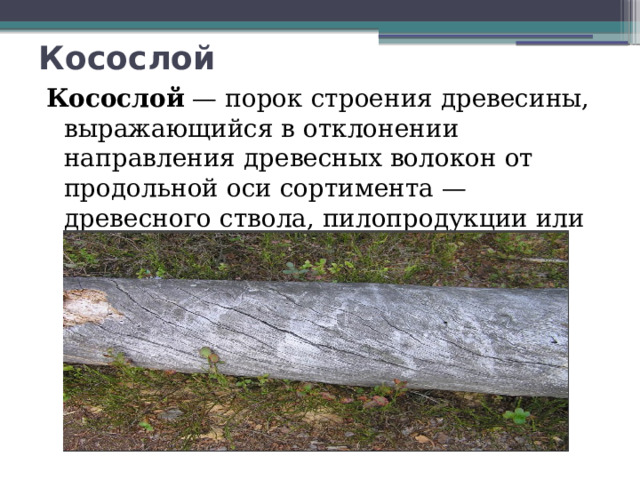 Косослой  Косослой  — порок строения древесины, выражающийся в отклонении направления древесных волокон от продольной оси сортимента — древесного ствола, пилопродукции или шпона. 