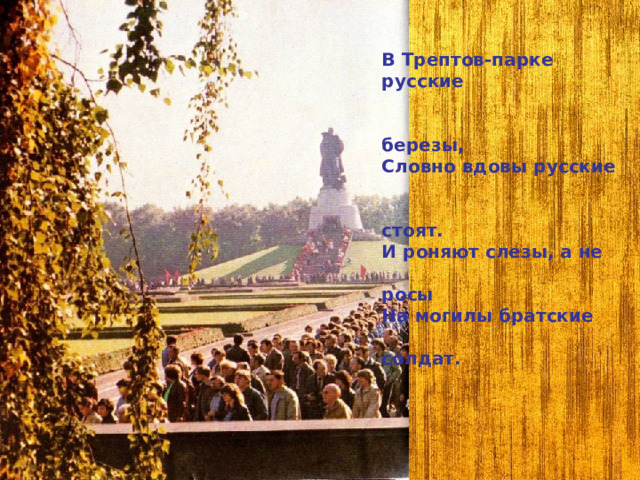В Трептов-парке русские  березы, Словно вдовы русские  стоят. И роняют слезы, а не  росы На могилы братские  солдат.   