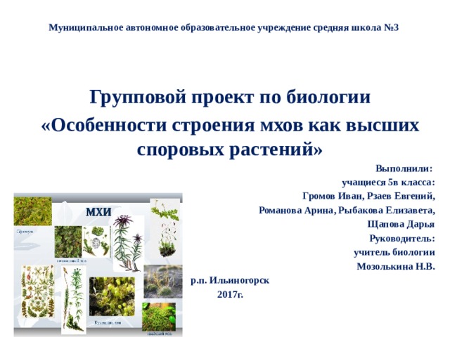 Муниципальное автономное образовательное учреждение средняя школа №3 Групповой проект по биологии «Особенности строения мхов как высших споровых растений» Выполнили: учащиеся 5в класса:  Громов Иван, Рзаев Евгений,  Романова Арина, Рыбакова Елизавета,  Щапова Дарья Руководитель:  учитель биологии  Мозолькина Н.В. р.п. Ильиногорск  2017г.  