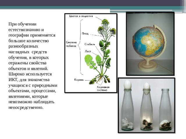 Средства обучения естествознанию. Сколько цветов используется в географии. Что широко используется вгеографий.