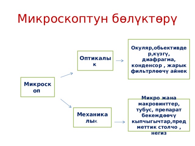 Микроскоптун бөлүктөрү Окуляр,обьективдер,күзгү, диафрагма, конденсор , жарык фильтрлөөчү айнек Оптикалы к  Микроскоп Микро жана макровинттер, тубус, препарат бекемдөөчү кыпчыгычтар,предметтик столчо , негиз Механикалы к  