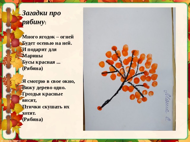 Загадки про рябину :  Много ягодок – огней  Будет осенью на ней.  И подарит для Марины  Бусы красная ...(Рябина)   Я смотрю в свое окно,  Вижу дерево одно.  Гроздья красные висят,  Птички скушать их хотят.  (Рябина) 