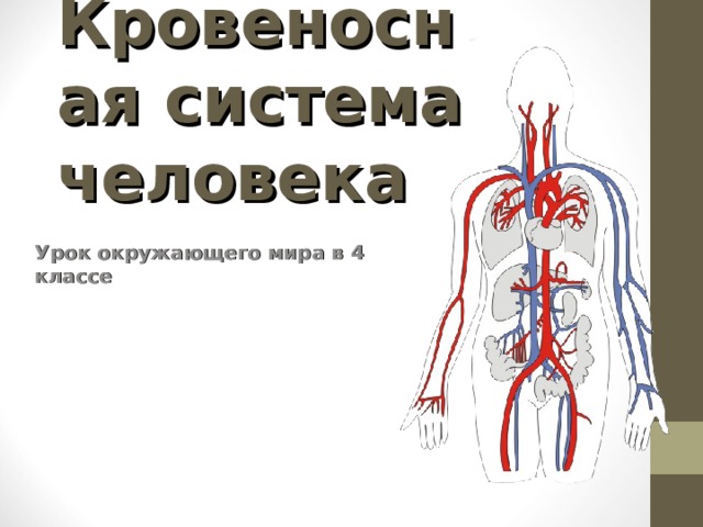 Кровеносная система человека презентация 8 класс