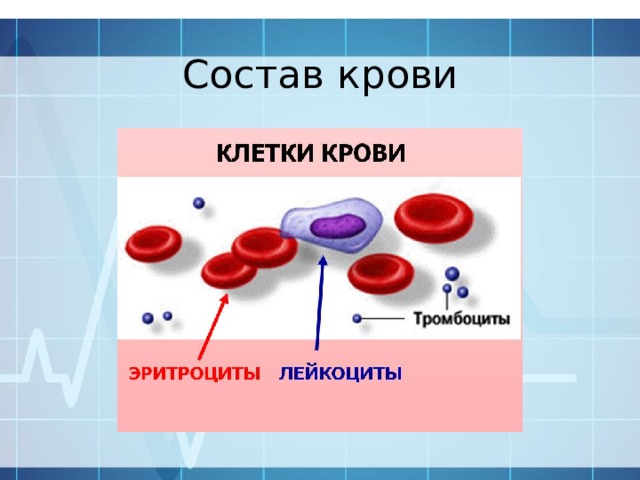 Состав крови рисунок