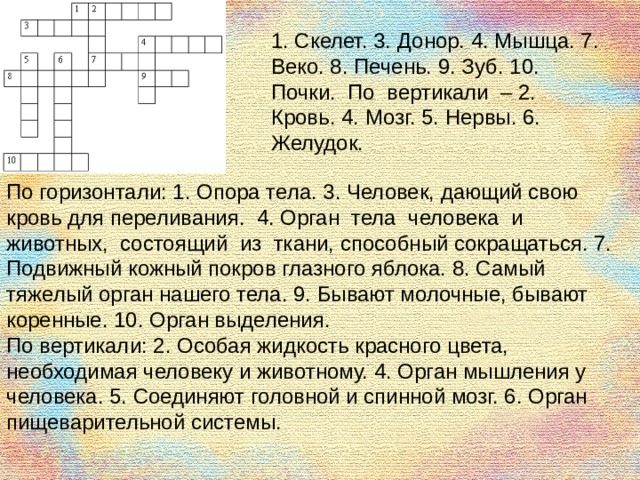 Что такое выделительная система человека 4 класс. Смотреть фото Что такое выделительная система человека 4 класс. Смотреть картинку Что такое выделительная система человека 4 класс. Картинка про Что такое выделительная система человека 4 класс. Фото Что такое выделительная система человека 4 класс