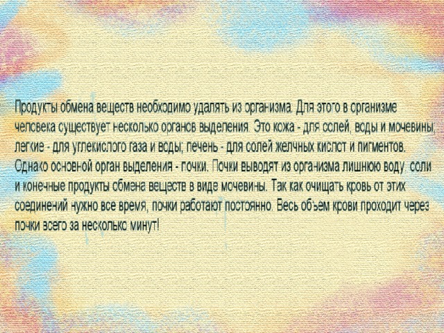 Что такое выделительная система человека 4 класс. Смотреть фото Что такое выделительная система человека 4 класс. Смотреть картинку Что такое выделительная система человека 4 класс. Картинка про Что такое выделительная система человека 4 класс. Фото Что такое выделительная система человека 4 класс