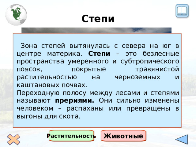 Степи  Зона степей вытянулась с севера на юг в центре материка. Степи – это безлесные пространства умеренного и субтропического поясов, покрытые травянистой растительностью на черноземных и каштановых почвах. Переходную полосу между лесами и степями называют прериями. Они сильно изменены человеком – распаханы или превращены в выгоны для скота. Растительность Животные 
