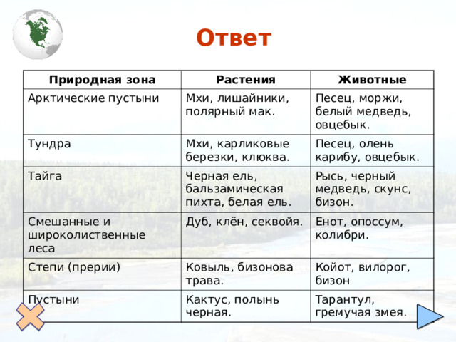 Связи в природной зоне