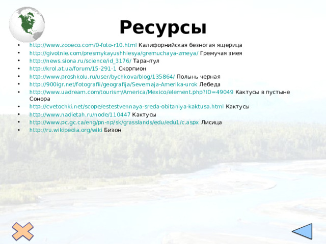 Ресурсы http://www.zooeco.com/0-foto-r10.html Калифорнийская безногая ящерица http://givotnie.com/presmykayushhiesya/gremuchaya-zmeya / Гремучая змея http://news.siona.ru/science/id_3176/ Тарантул http://krol.at.ua/forum/15-291-1 Скорпион http://www.proshkolu.ru/user/bychkova/blog/135864/ Полынь черная http://900igr.net/fotografii/geografija/Severnaja-Amerika-urok Лебеда http:// www.uadream.com/tourism/America/Mexico/element.php?ID =49049 Кактусы в пустыне Сонора http://cvetochki.net/scope/estestvennaya-sreda-obitaniya-kaktusa.html Кактусы http://www.nadietah.ru/node/110447 Кактусы http://www.pc.gc.ca/eng/pn-np/sk/grasslands/edu/edu1/c.aspx Лисица http://ru.wikipedia.org/wiki Бизон      