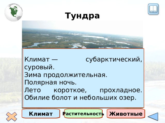 Тундра Климат — субарктический, суровый. Зима продолжительная. Полярная ночь. Лето короткое, прохладное. Обилие болот и небольших озер. Тундра – безлесные пространства субарктического пояса, покрытые мохово-лишайниковой и кустарничковой растительностью на скудных тундрово-болотных почвах. Климат Растительность Животные 