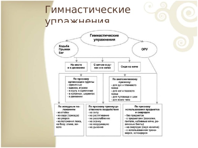 Гимнастические упражнения 