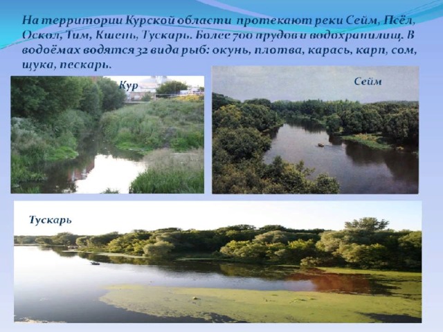 Володарск сейма карта