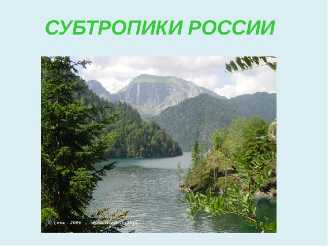 Природная зона субтропические леса