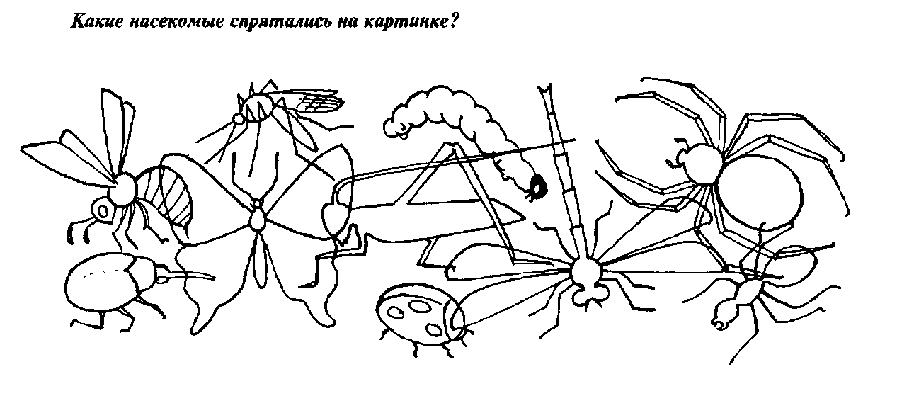 Картинки по лексической теме насекомые