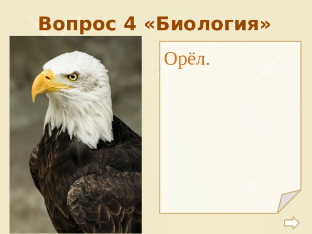 Вопрос 4 «Биология» Орёл. 
