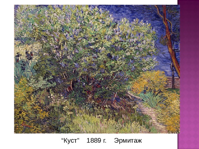 “ Куст ” 1889 г. Эрмитаж 