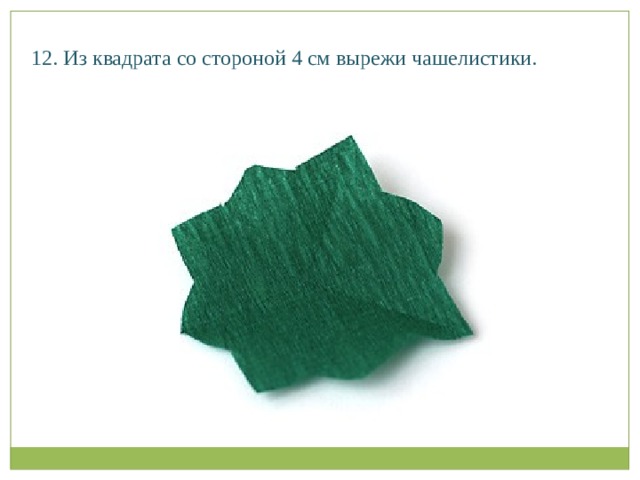 12. Из квадрата со стороной 4 см вырежи чашелистики.   
