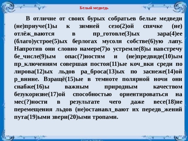 Белый медведь   В отличие от своих бурых собратьев белые медведи (не)приуче(1)ы  к зимней сезо(2)ой спячке (не) отлёж_ваются в пр_готовле(3)ых зара(4)ее (благо)устрое(5)ых берлогах  мусоля собстве(6)ую лапу. Напротив они словно намере(7)о устремле(8)ы навстречу бе_числе(9)ым опас(?)ностям и (не)предвиде(10)ым пр_ключениям совершая постоя(11)ые коч_вки среди по­лирова(12)ых льдов ра_броса(13)ых по заснеже(14)ой р_внине. Взращё(15)ые в темноте полярной ночи они снабже(16)ы важным природным качеством безукоризне(17)ой способностью ориентироваться на мес(?)ности в результате чего даже весе(18)ие перемещения льдов (не)останавл_вают их передв_жений пута(19)ыми звери(20)ыми тропами. 