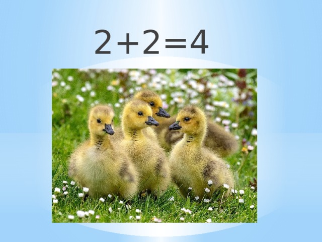 2+2=4 