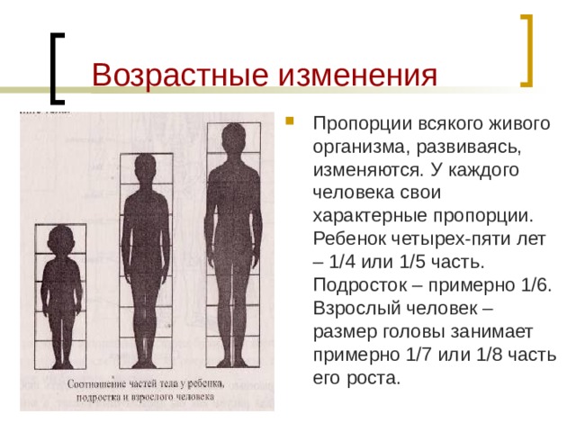 Рассмотрите рисунок иллюстрирующий проявление возрастных изменений человека