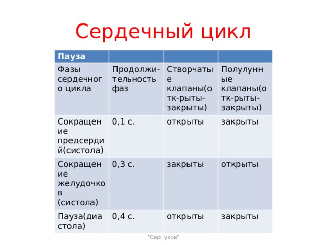 Фазы сердечного цикла. Фазы и периоды сердечного цикла. Сердечный цикл и его фазы. Пауза фаза сердечного цикла. Таблица структура кардиоцикла.