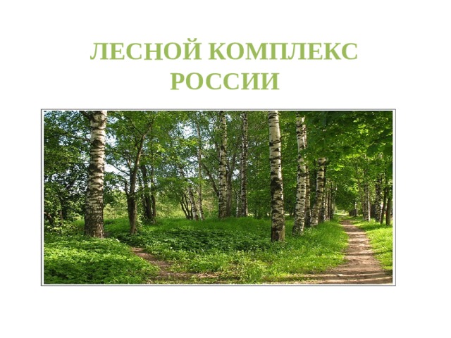 ЛЕСНОЙ КОМПЛЕКС РОССИИ 