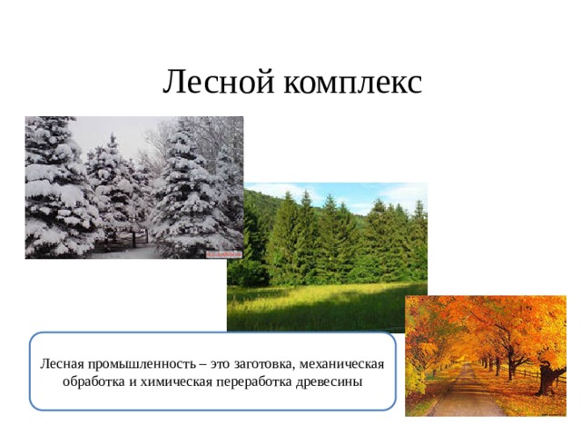 Тест лесные зоны россии. Лес для презентации. Лесной комплекс 9 класс география презентация.